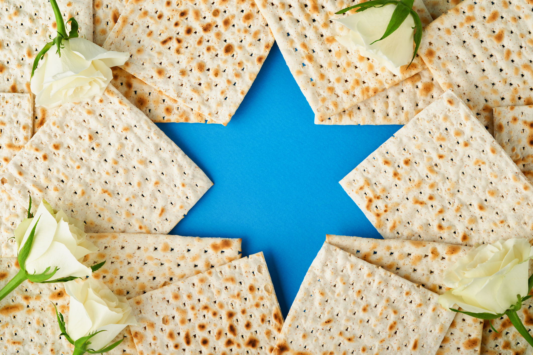 Passover: Everything You Need for a Seder Full of Meaning