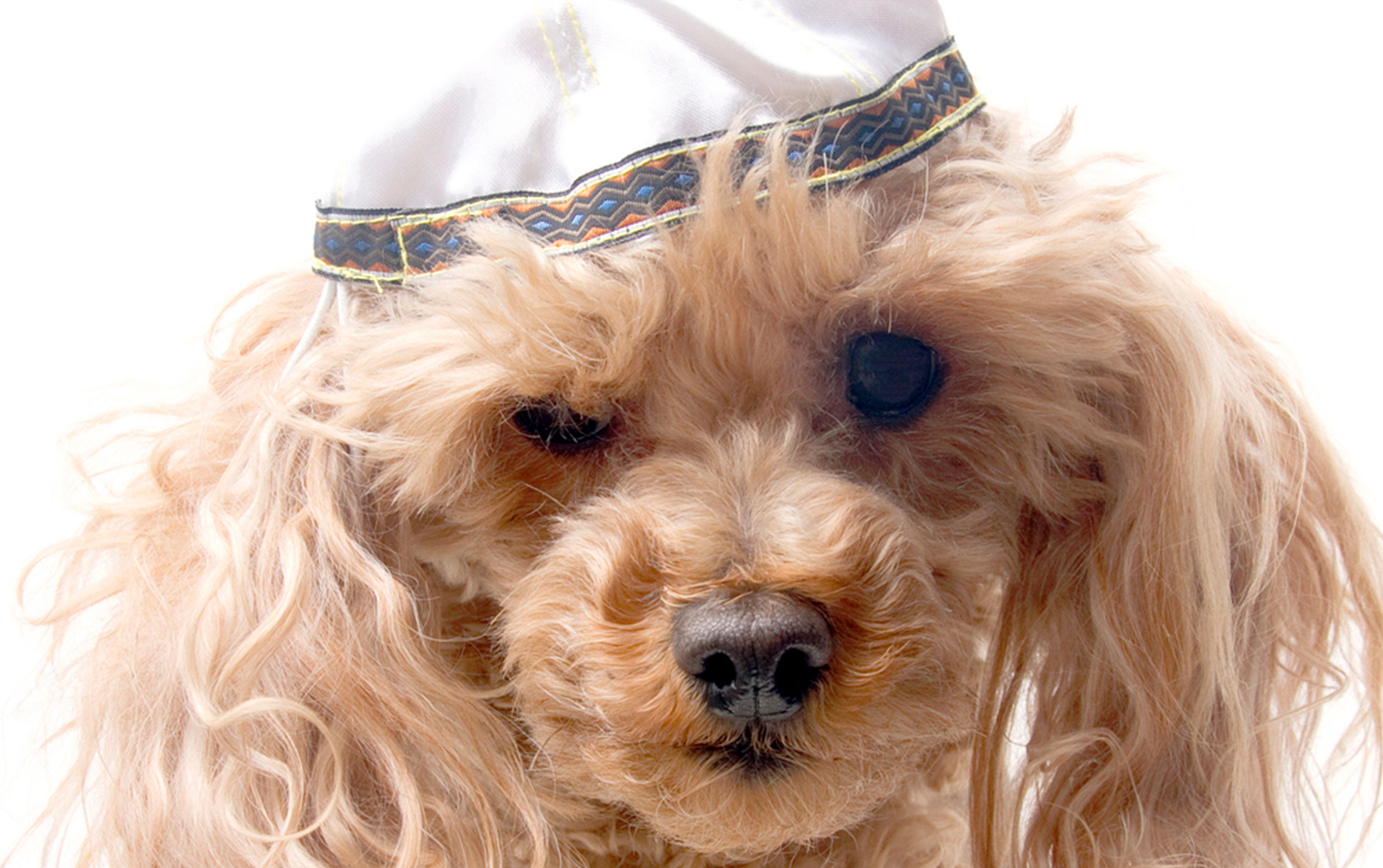 Choosing the Right B’nai Mitzvah Rabbi & Program